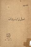 فصول فى الأدب والنقد